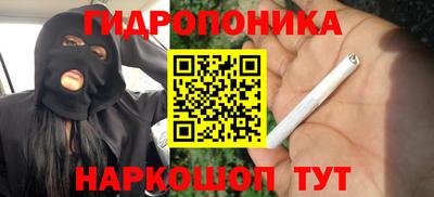 шишки Балашиха