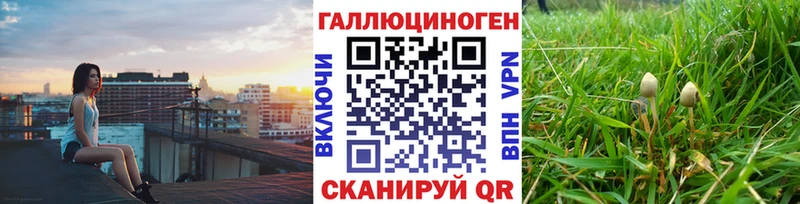 Псилоцибиновые грибы GOLDEN TEACHER  Купить закладки  Чусовой 